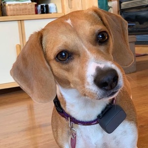 Fundraising Page: Michelle Askew